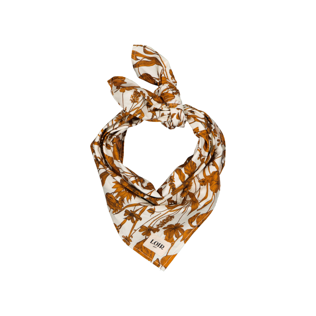 Loir Paris skarelė Alfred Liberty Muse®