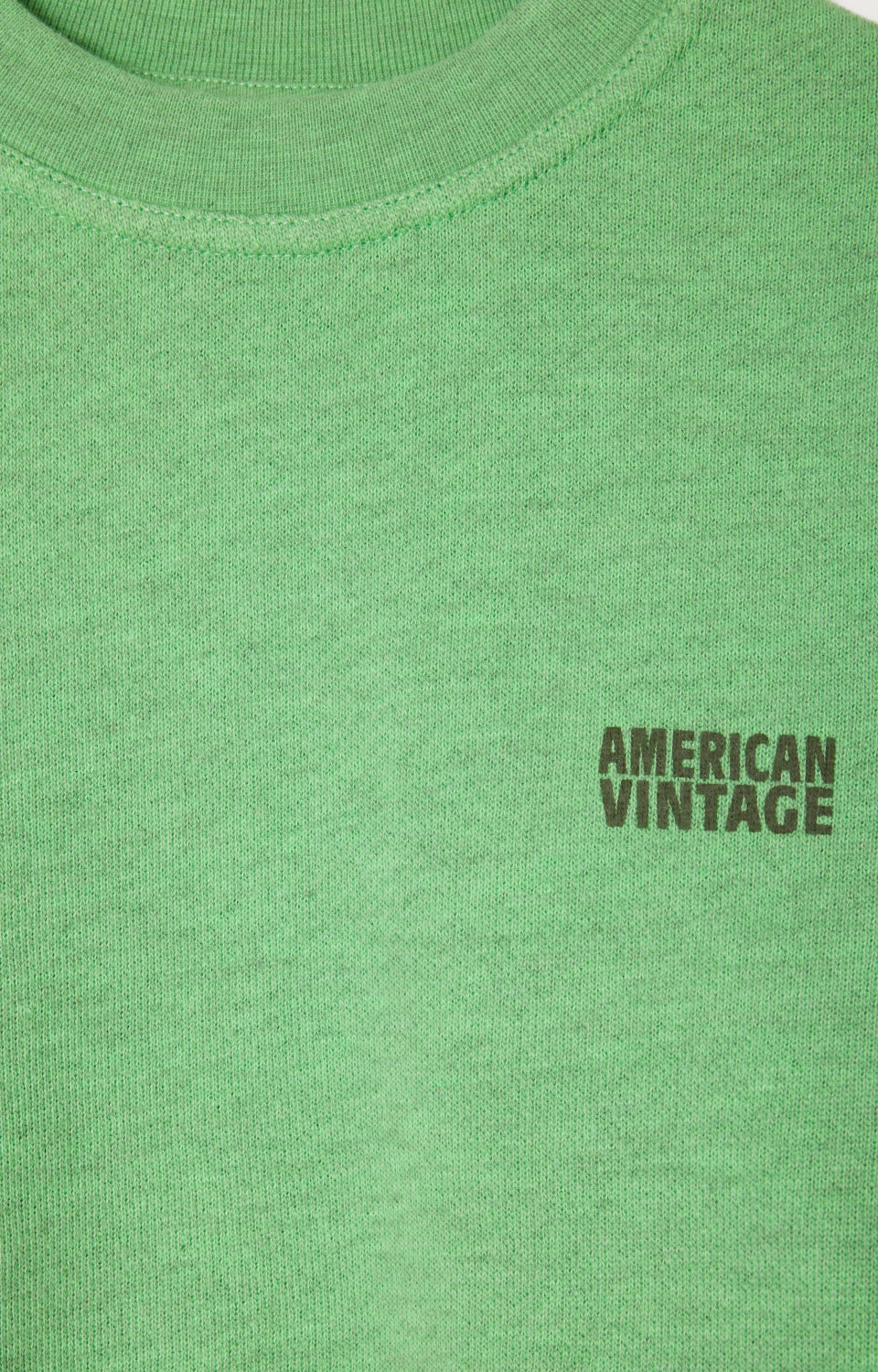 American Vintage sweatshirt Doven parakeet